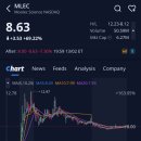 물렉 사이언스(MLEC)주가, +69.22% 급등, 애프터장 -7.30% 하락 (2026.2.13)