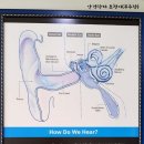 조은소리보청기무주센타