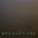 [영화] 올리비아핫세 &amp; 레오나드위팅주연 1968年 ＜로미오와줄리엣＞ -1- 이미지