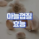 ☆☆☆작지만 강하다!!!! 11월 셋째 주말(16, 17) 출부☆☆☆마늘 껍질의 효능 이미지