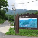 대야산자연휴양림 이미지