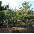 종관농장 이미지