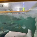 겨울바다 호스텔 이미지