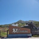 블루원청도 | 청도풀빌라 가족펜션 블루원청도펜션 코발드블루 203호 숙박 후기