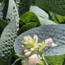 월드컵경기장역(6) 이미지