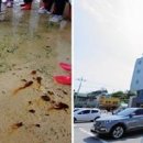 해심원 이미지