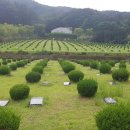 부산시설공단추모공원 이미지