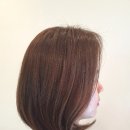 옐로우씨 이미지