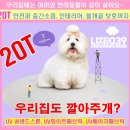 진성아파트 | 천안 층간소음매트ㅣ성거 진성아파트 28평 시공후기!