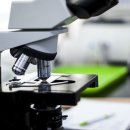 경인행정사 이미지