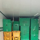 조은익스프레스 이미지