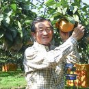 부자농장3 이미지