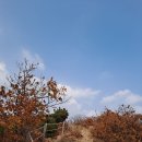 2021-주165 이미지