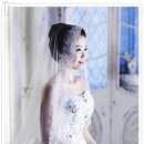 아마폴라 이미지