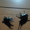 성림농원 이미지