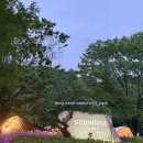 예산 캠핑장 다녀온 일상글(예산스노우라인캠핑빌리지)