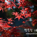 이*길 - 가평군 조종새싹로 | 이*길