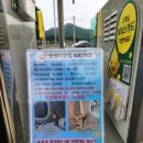 뚱땡이주유소