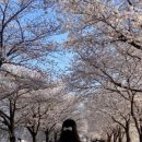 구지보건진료소 이미지