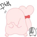 하나콩 이미지