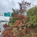 생활권26 이미지