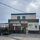 라쿤 하우스 | 제주 동쪽 김녕 세기알 해변 근처 스프카레 맛집 “라쿤하우스”