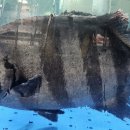 활어도매시장 이미지