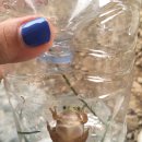 울성낚시터 이미지