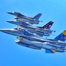 이탈리아 배치 미 공군 31 전투비행단 31주년 자축 F-16 기념 비행