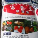 푸지메 티스토리