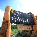 달빛강가에서