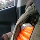 도그앤미 이미지