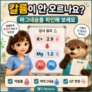 칼륨만 보지 말아야 하는 이유, 마그네슘까지 연결하는 전해질 해석 이미지