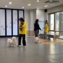 옐레드 부천 신중동점 이미지