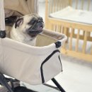 분당수내365의원 이미지