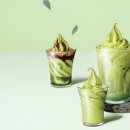 폴바셋 부산대연DT점 이미지