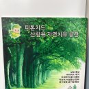 예다움태권도장 - 수원시 장안구 송원로 113 | 예다움태권도장