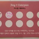 지니앤캐터피스 이미지