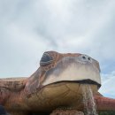 The나은약국 | 10월의 푸꾸옥 어떤지 직접 다녀왔따!!!✈️