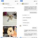 허니멍 이미지