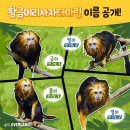 황금머리 - 군산시 | 황금머리