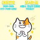 솔루션모터스 이미지