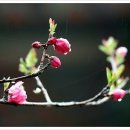 [중랑통기타동호회] 봄이 왔다 이미지