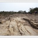 곡성-209 이미지