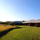 제주포도 이미지