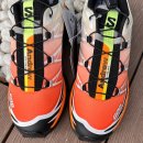 마이애미오렌지 이미지