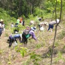 오곡마을(오곡발효마을) 이미지