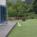 (주)거성케어 | [여름휴가] 가평 애견 동반 펜션 오블리 방문 후기