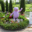 8월 6일 (서울식물원-한강-궁산=강서구) 이미지