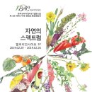 요스시 이미지